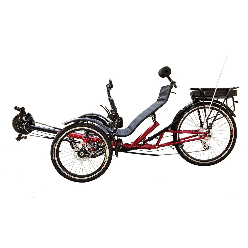 250watt 36V 12Ah Electric Pedal Assistant Adult Recumbent Trike