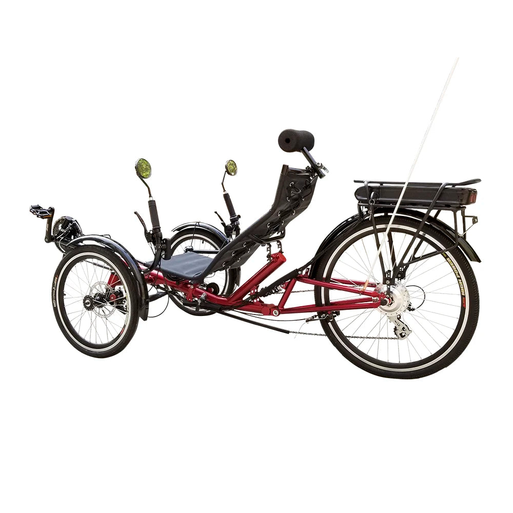 250watt 36V 12Ah Electric Pedal Assistant Adult Recumbent Trike