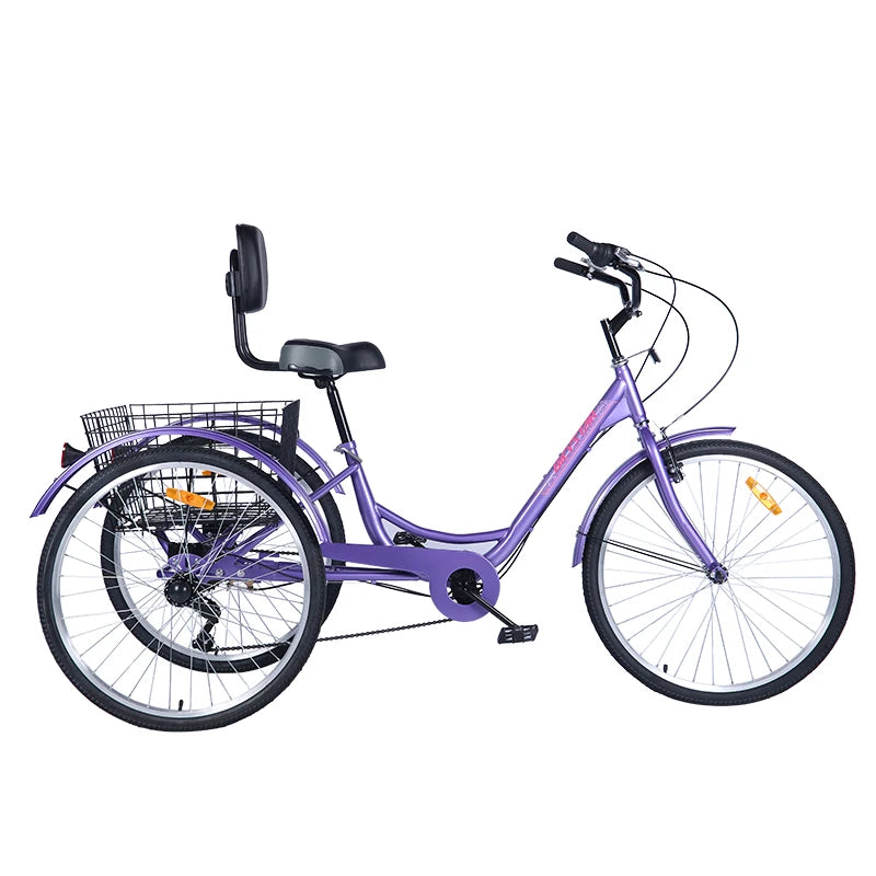 Adaptive Tricycle for Special Needs Teen/Adult