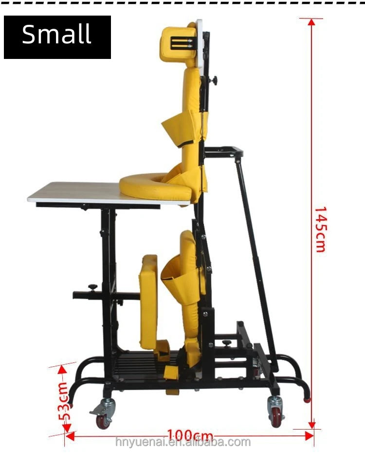 Sitting posture correction chair hemiplegia paraplegia rehabilitation training equipment standing frame for children and adult