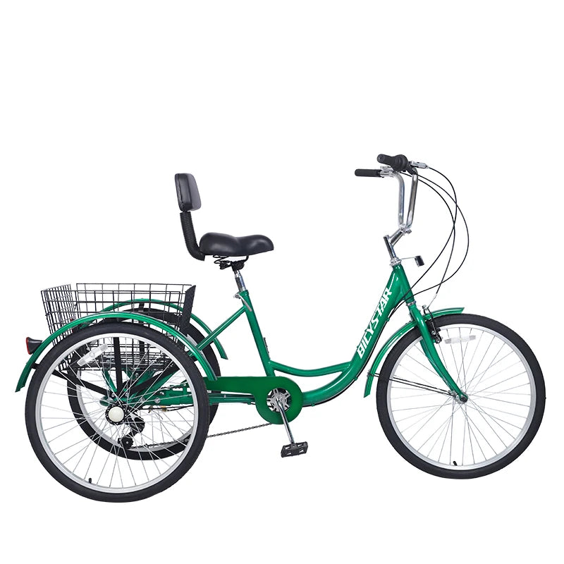 Adaptive Tricycle for Special Needs Teen/Adult