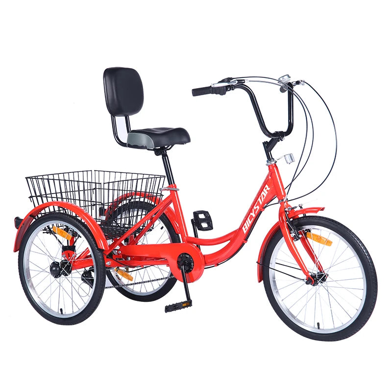 Adaptive Tricycle for Special Needs Teen/Adult